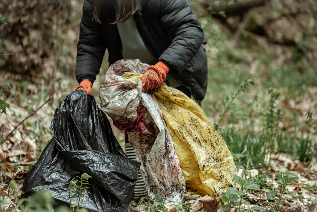 close up of cleaning the forest from debris.